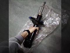 shock absorber show 4